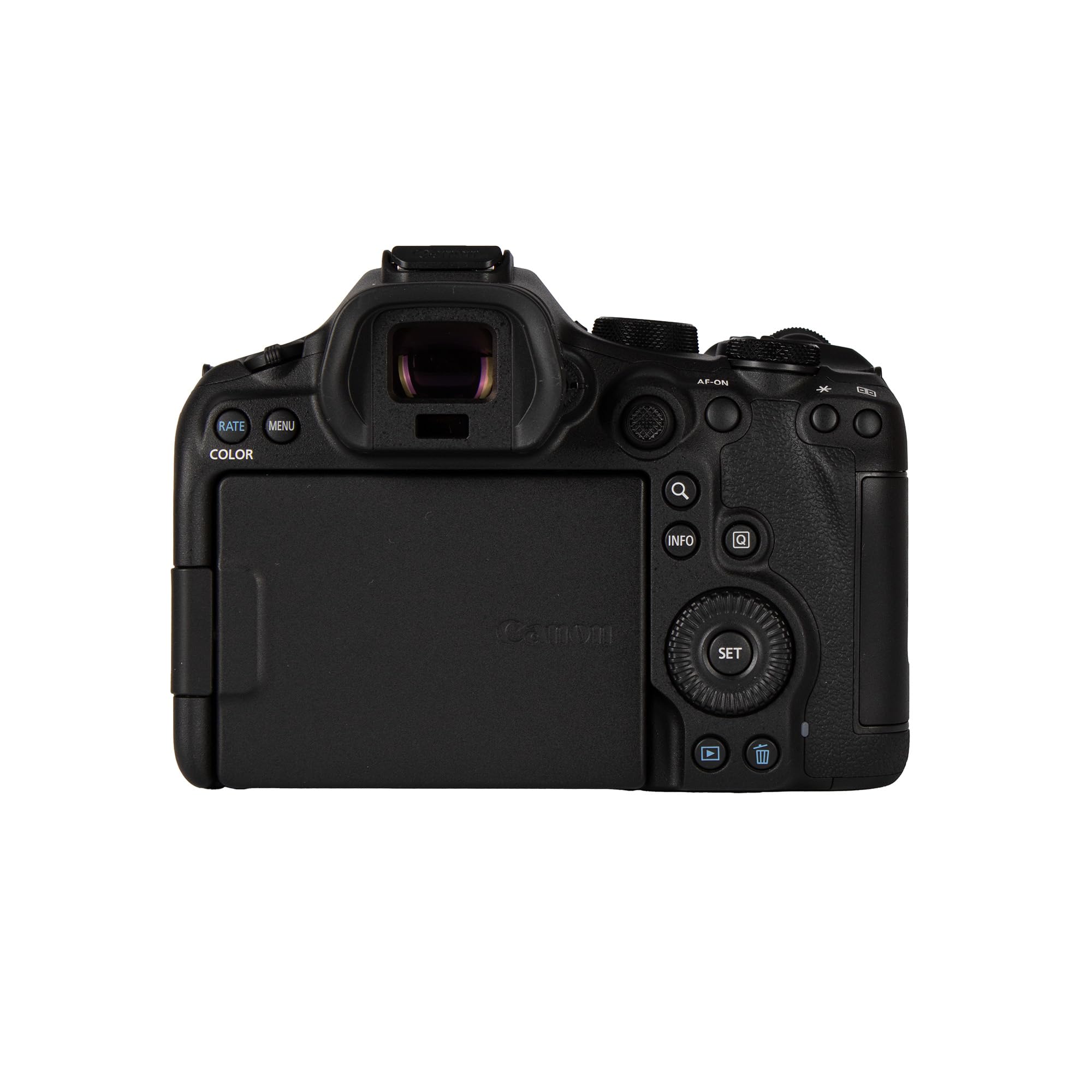 Amazon.com : Canon EOS R6 Mark III with 24-105mm f/4-7.1 RF Lens